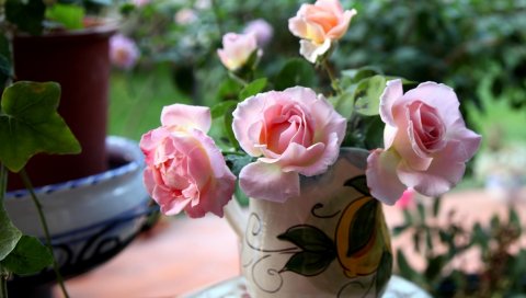 Розы, цветы, букет, ваза, резкость