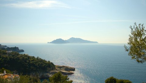 Море, деревья, остров, очертания
