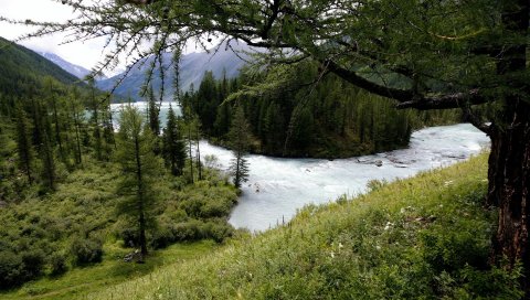 Горная река, деревья, лес, уныние