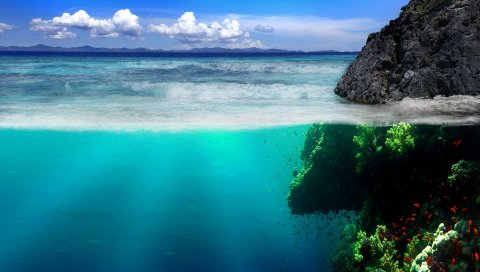Море, побережье, скалы, подводный мир, растительность, рыба