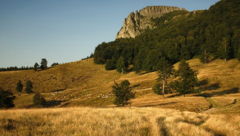Склон, осень, трава, горы, стадо, овцы