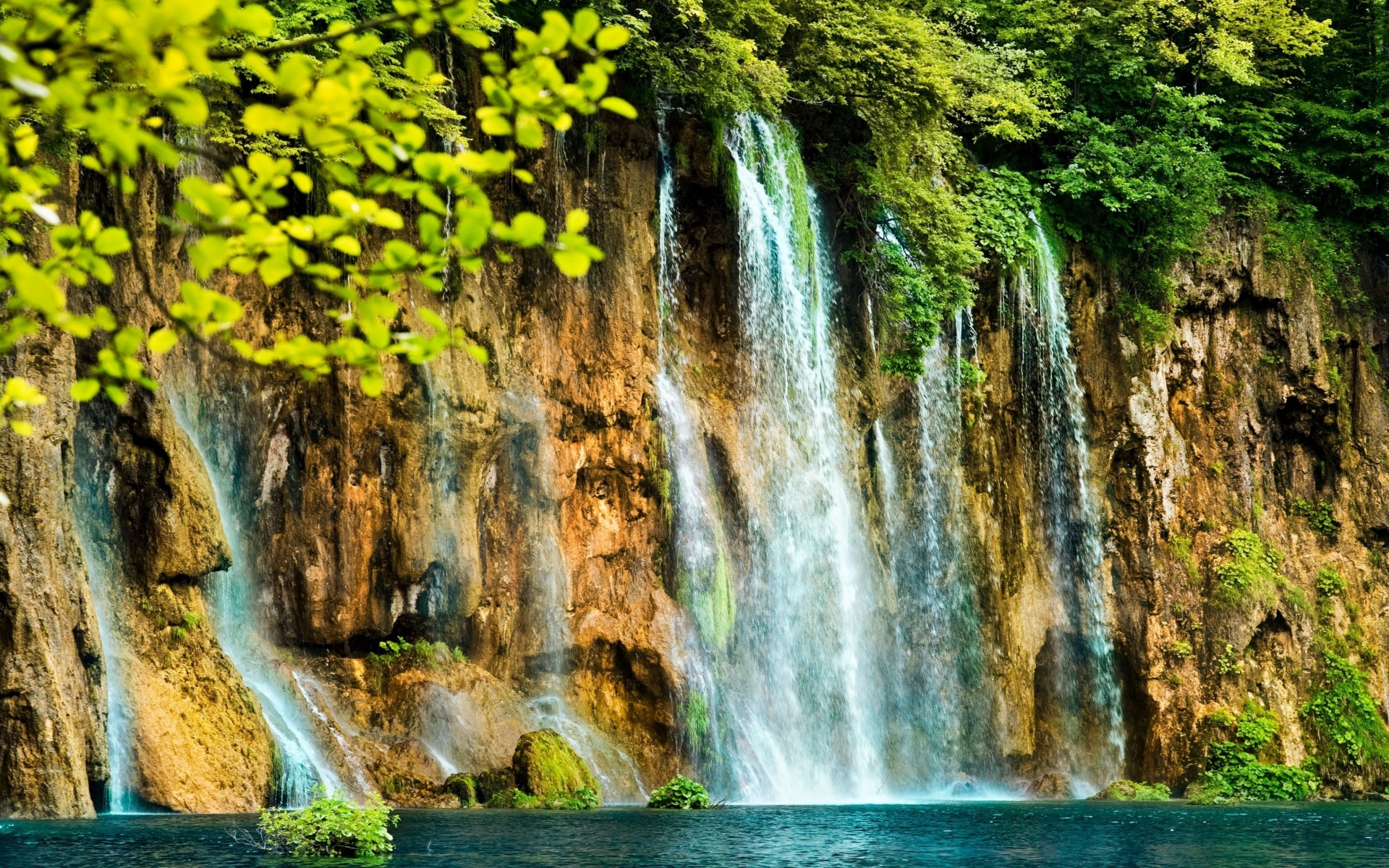 Картинки Падает, яркий, листья, ветка, скала фото и обои на рабочий стол