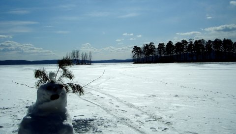 Снеговик, поле, следы, деревья