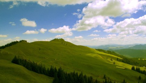 Склоны, холмы, зеленый