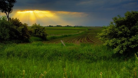 поле, солнце, небо, блеск, лучи, ранги, участок