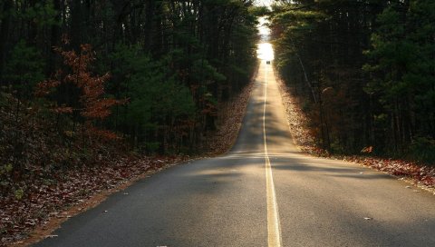 дорога, осень, листья, прямая линия, спуск, автомобиль, движение