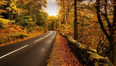 дороги, придорожные, осень, листья, укрепления, каменные