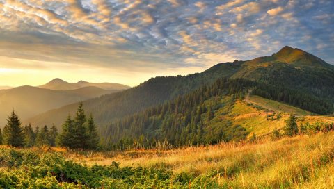 Горы, растительность, флора и фауна, трасса, лес, открытые пространства