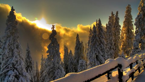 Защита, солнце, пятна света, снег, лес, горы, облака, проблески