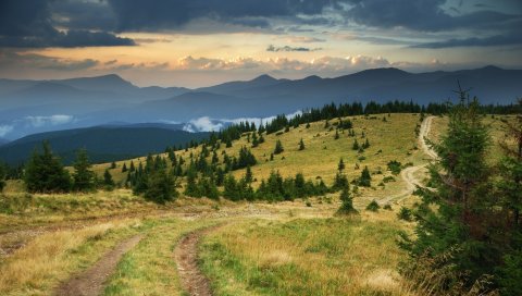 Дорога, страна, горы, трава, выцветшие, елки