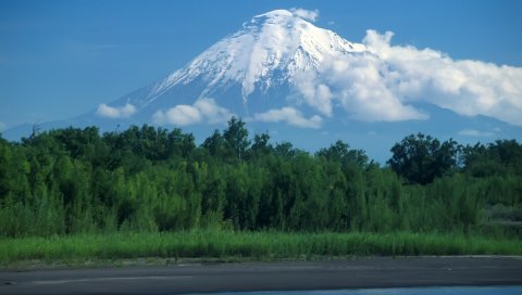Вулкан, камчатка, лес