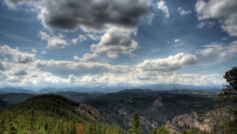 Облака, высота, лес, открытые пространства, пейзаж, серый