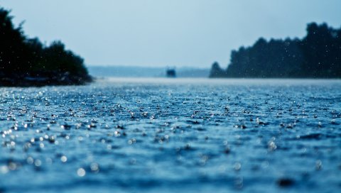 Капли, дождь, поверхность, вода, осадки