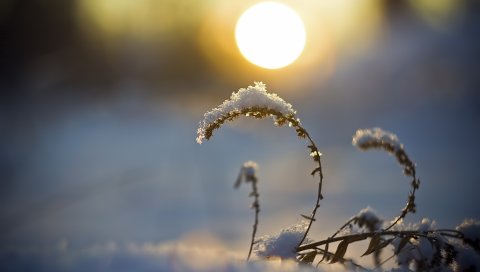 Лезвие, снег, солнце, падение, диск