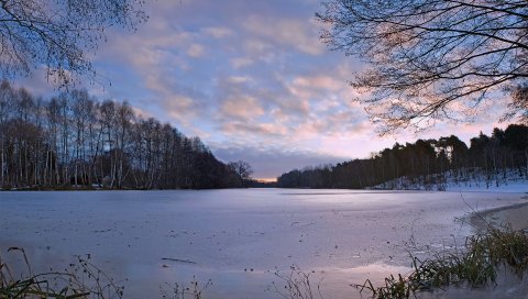Пруд, трава, лед, зима, мороз, свежесть, тишина, вечер, замороженные