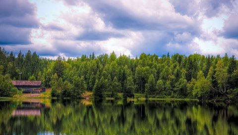 Дерево, отражение, вода, домик