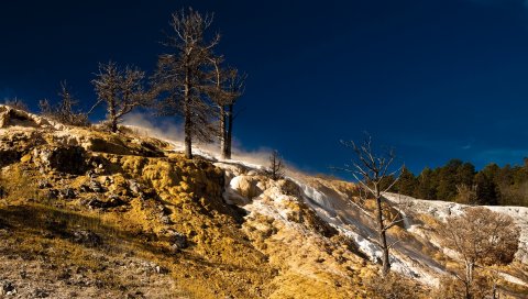 Спуск, желтый, белый, рельеф, деревья, голый