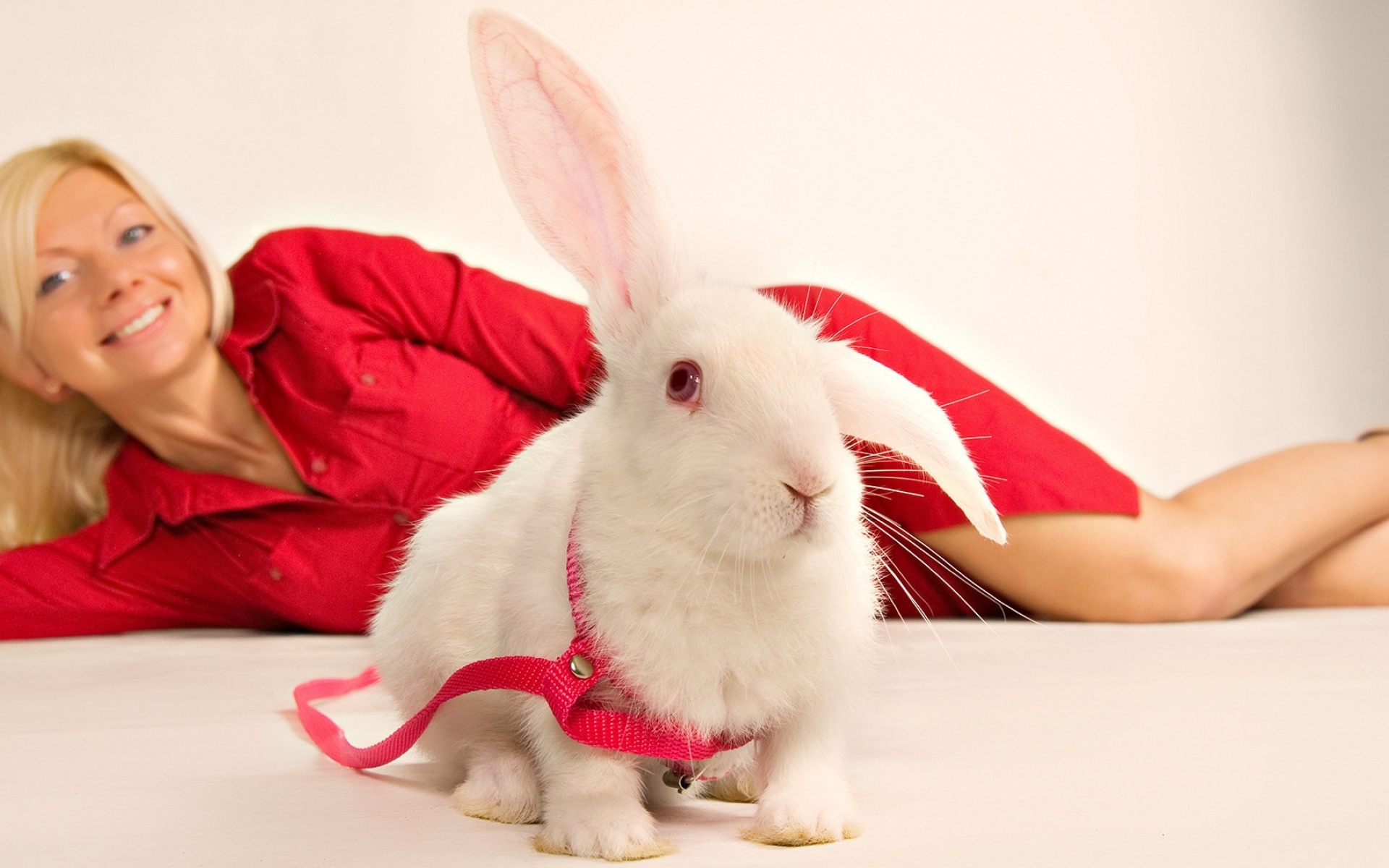 Год кролика человек. Фотосессия с кроликом. Девушка кролик. Новогодняя фотосессия с кроликом. Красный кролик.