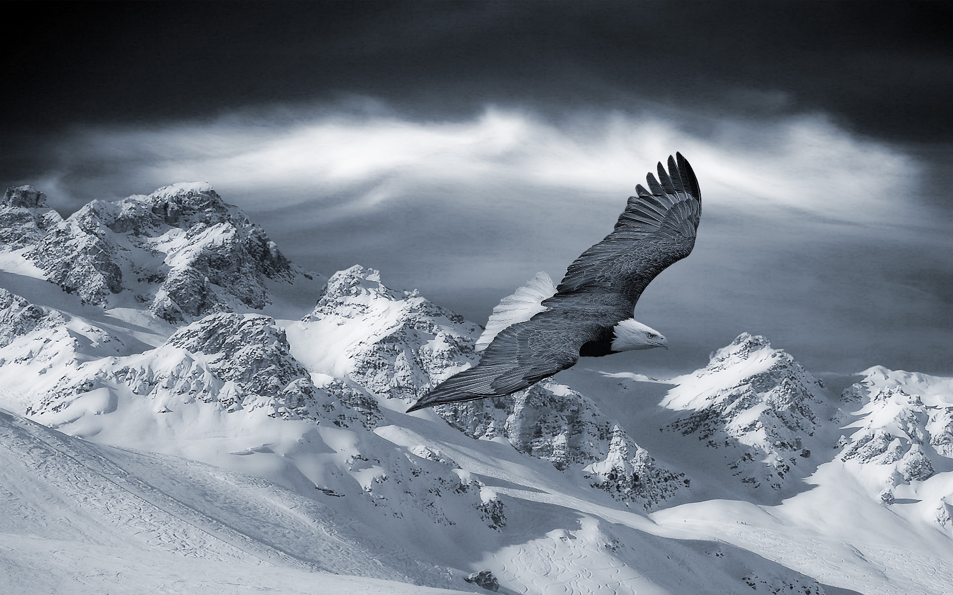 Картинки Орел, гора, небо, снег, холмы, птицы, хищники фото и обои на рабочий стол