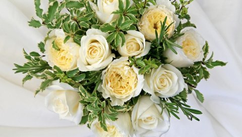 Розы, цветы, белый, цветок, украшение