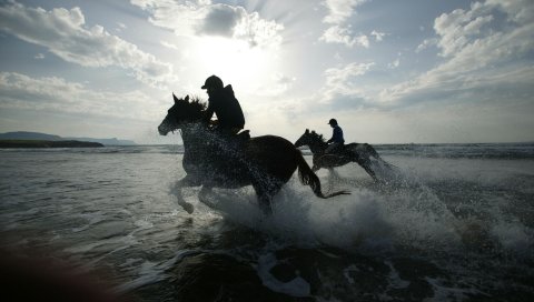 Лошадь, всадник, всадники, море, спрей