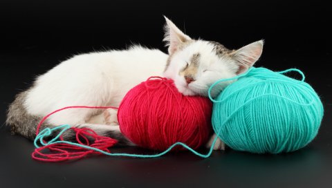 кот, мяч, нитки, сон, игривый