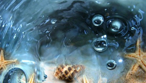 Вода, прозрачные, ракушки, морские звезды, пузыри