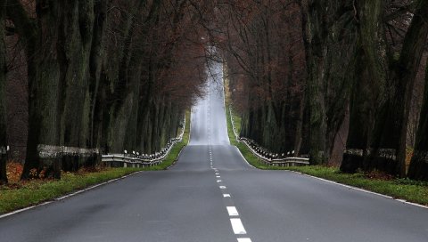 Дорога, асфальт, маркировка, прерывание, пейзаж, спуск, подъем
