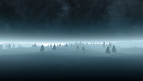 Деревья, елки, снег, очертания, мрачный, туман, тьма