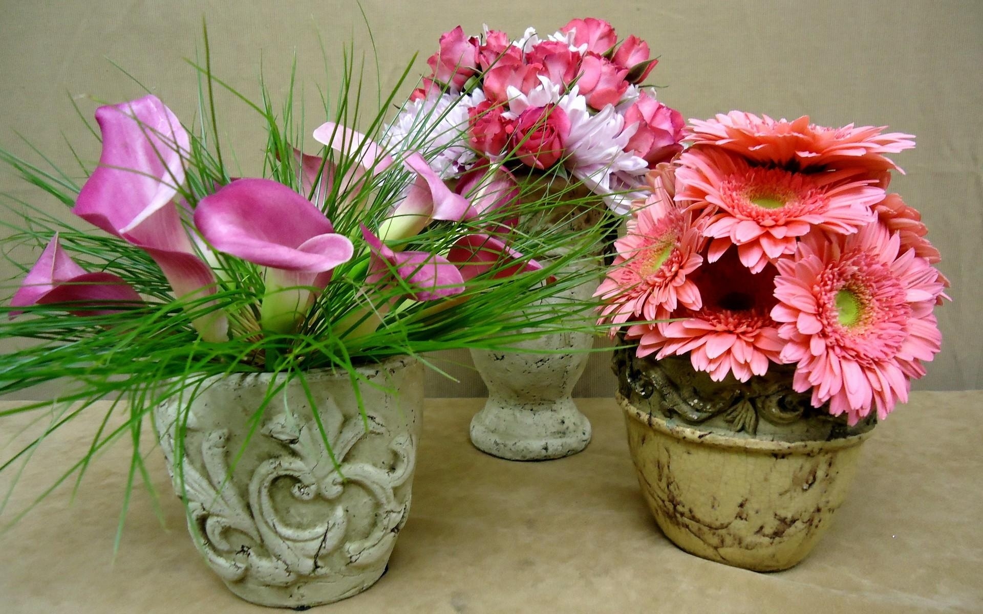 Картинки Лилии, розы, герберы, цветы, вазы, букеты фото и обои на рабочий стол