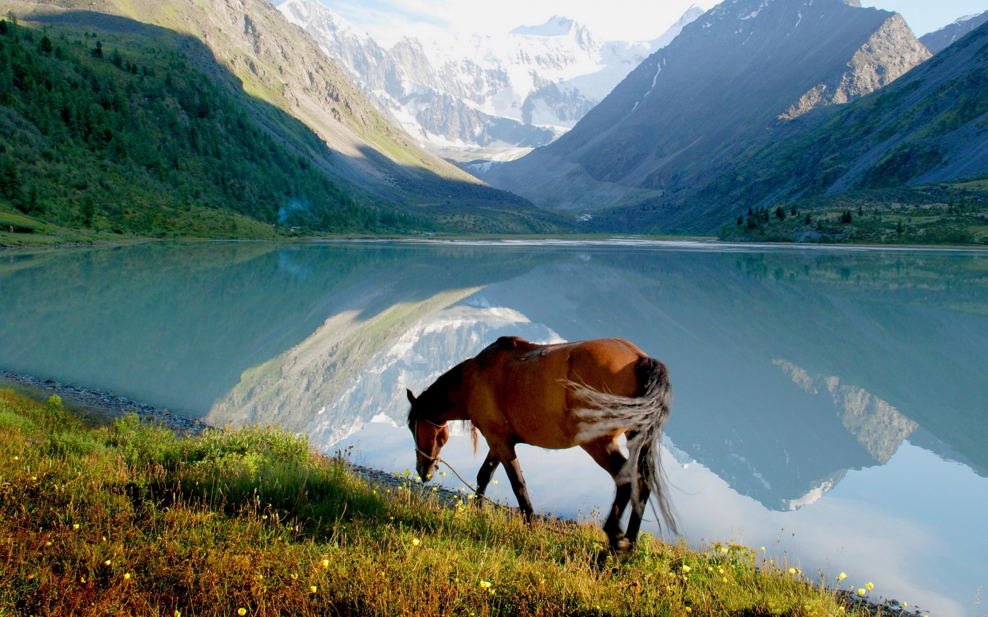 Картинки Лошадь, гора, озеро, трава, прогулка фото и обои на рабочий стол