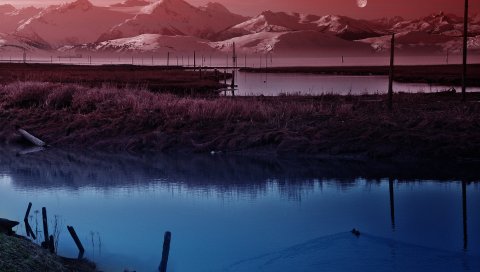 Луна, небо, пруд, утки, вечер, сумерки, тишина