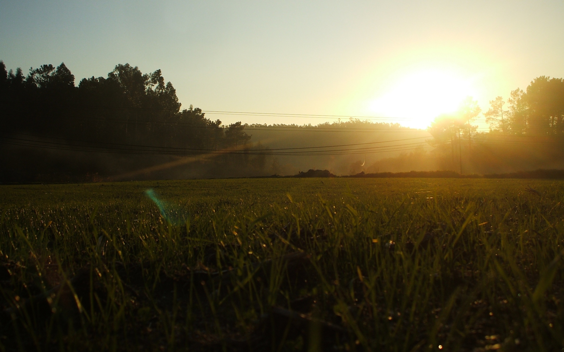 Картинки Португальский, свет, утро, поле, трава, провода фото и обои на рабочий стол