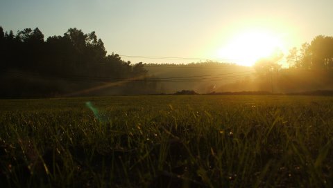 Португальский, свет, утро, поле, трава, провода