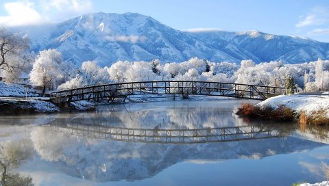Мост, река, отражение, деревья, иней, мороз, свежесть