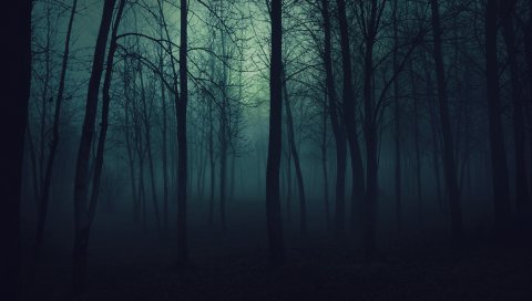 Дерево, деревья, мрачный, туман, дымка, тьма