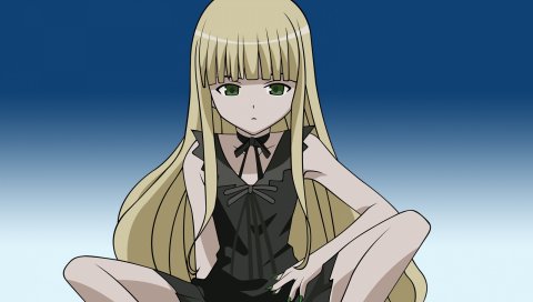 Evangeline ak mcdowell negima, девушка, блондинка, челки, карие глаза