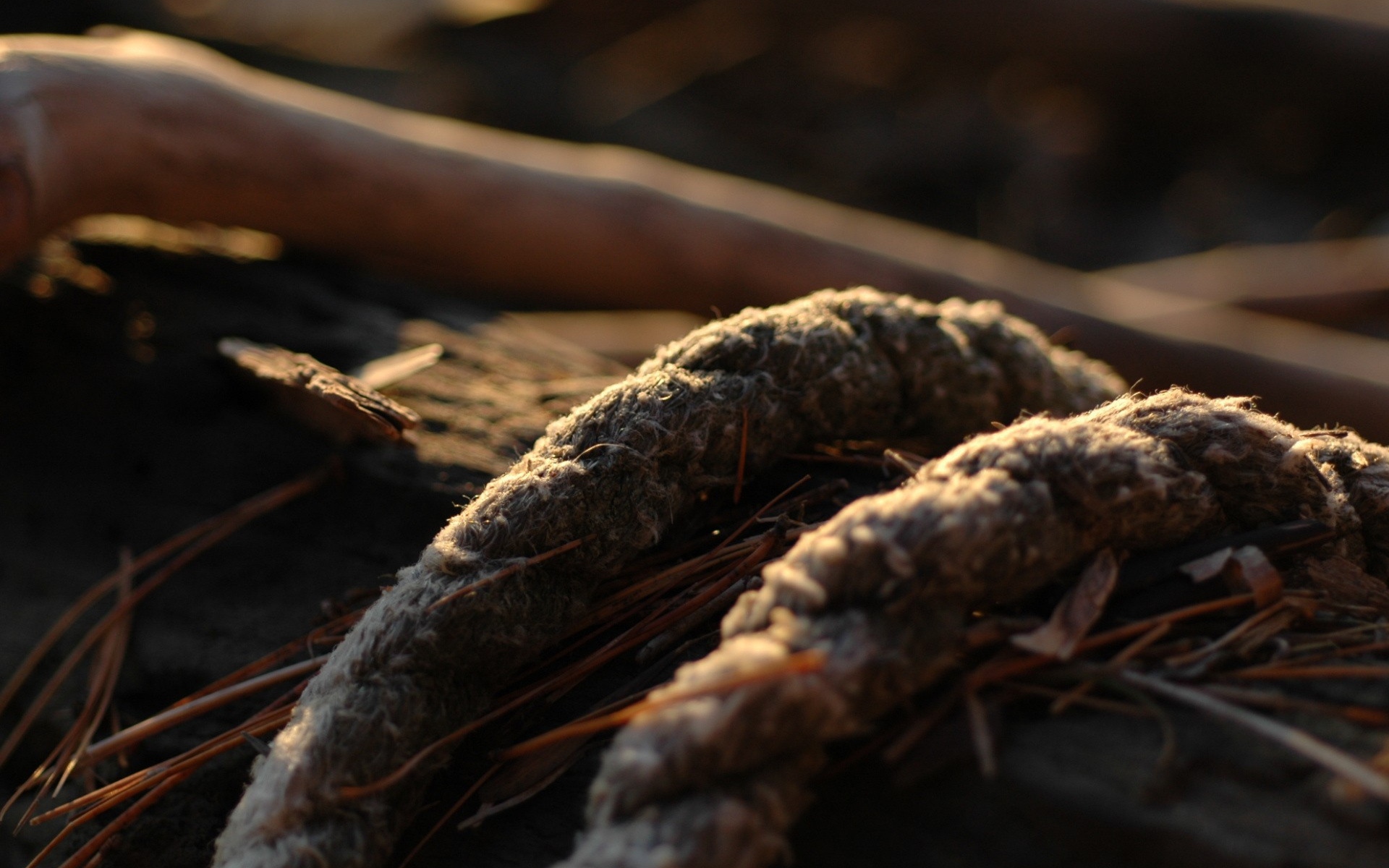 Картинки Веревка, крупный план, трава, грязь фото и обои на рабочий стол