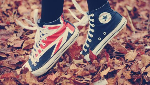 Обувь, кроссовки, беседа, стиль, осень, спорт