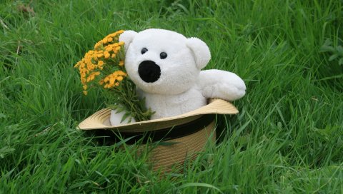 Плюшевый мишка, шляпа, трава, цветы, подарок
