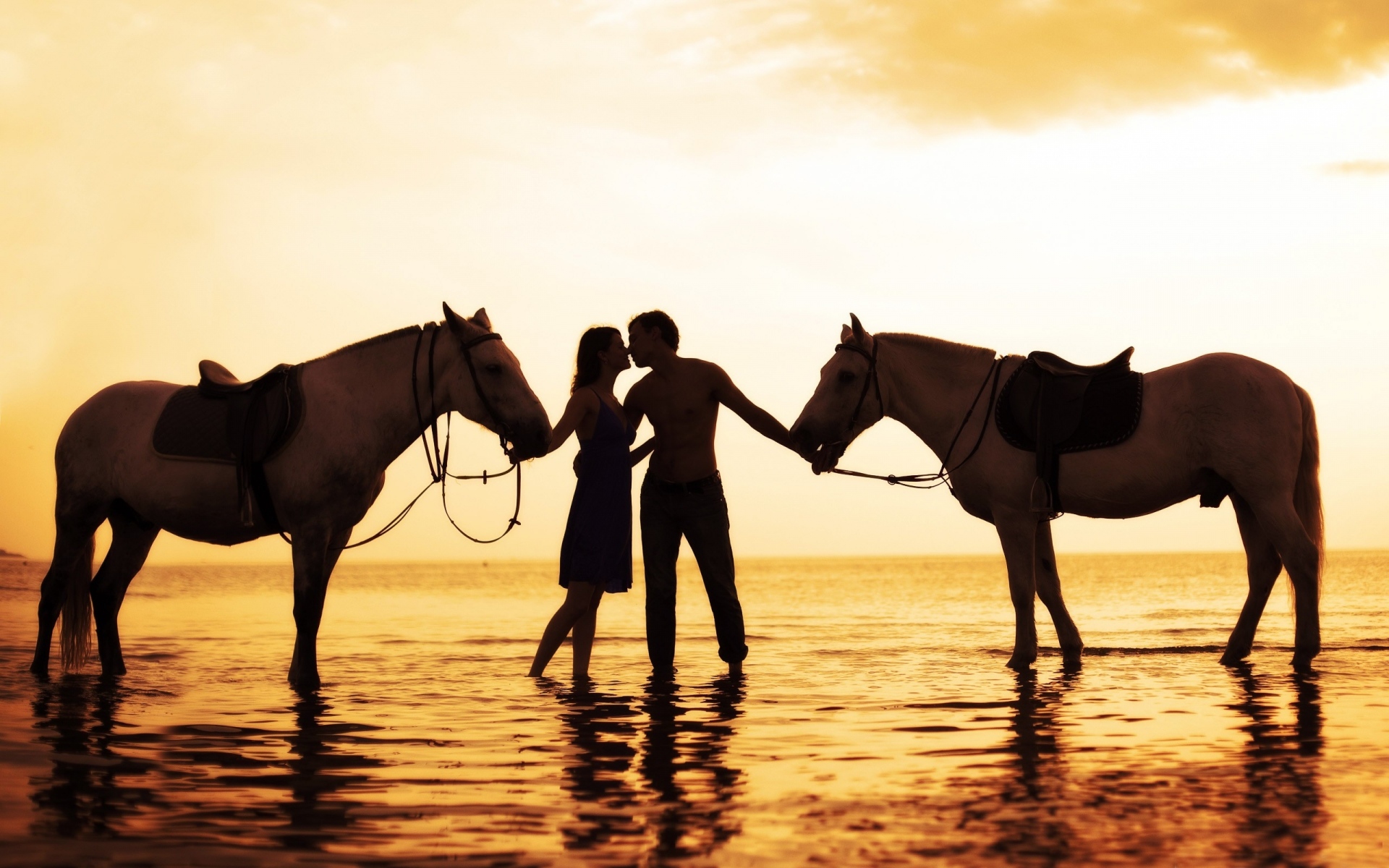 Картинки Пара, закат, море, нежность, лошади, романтика фото и обои на рабочий стол