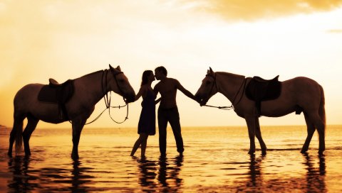 Пара, закат, море, нежность, лошади, романтика
