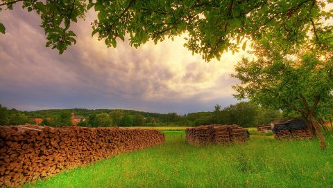 Дрова, дерево, ветки, луг, поляна, летние каникулы