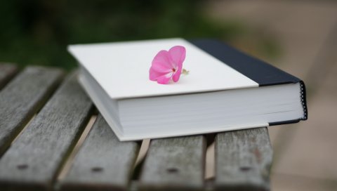 Книга, цветок, настроение, поверхность