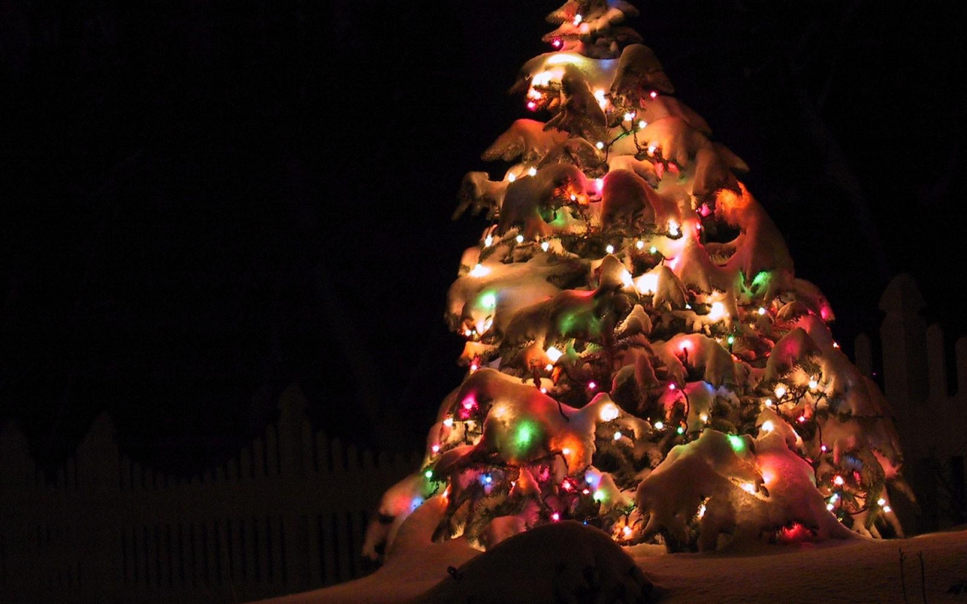 Картинки Рождественская елка, гирлянда, снег, улица, праздник, Рождество, ночь фото и обои на рабочий стол