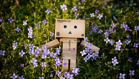 Danboard, робот, коробка, трава, цветы