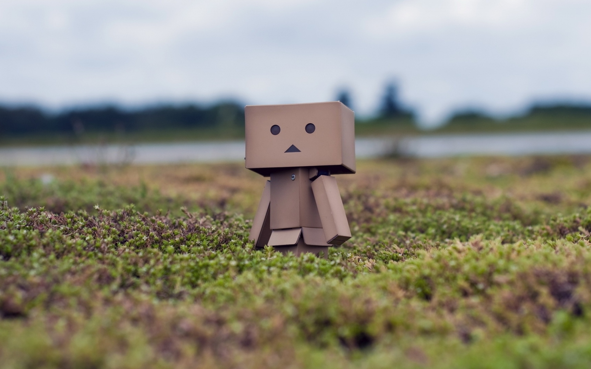 Картинки Danboard, коробки, робот, трава, мох, прогулка фото и обои на рабочий стол