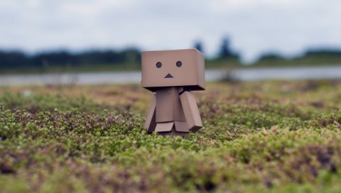 Danboard, коробки, робот, трава, мох, прогулка