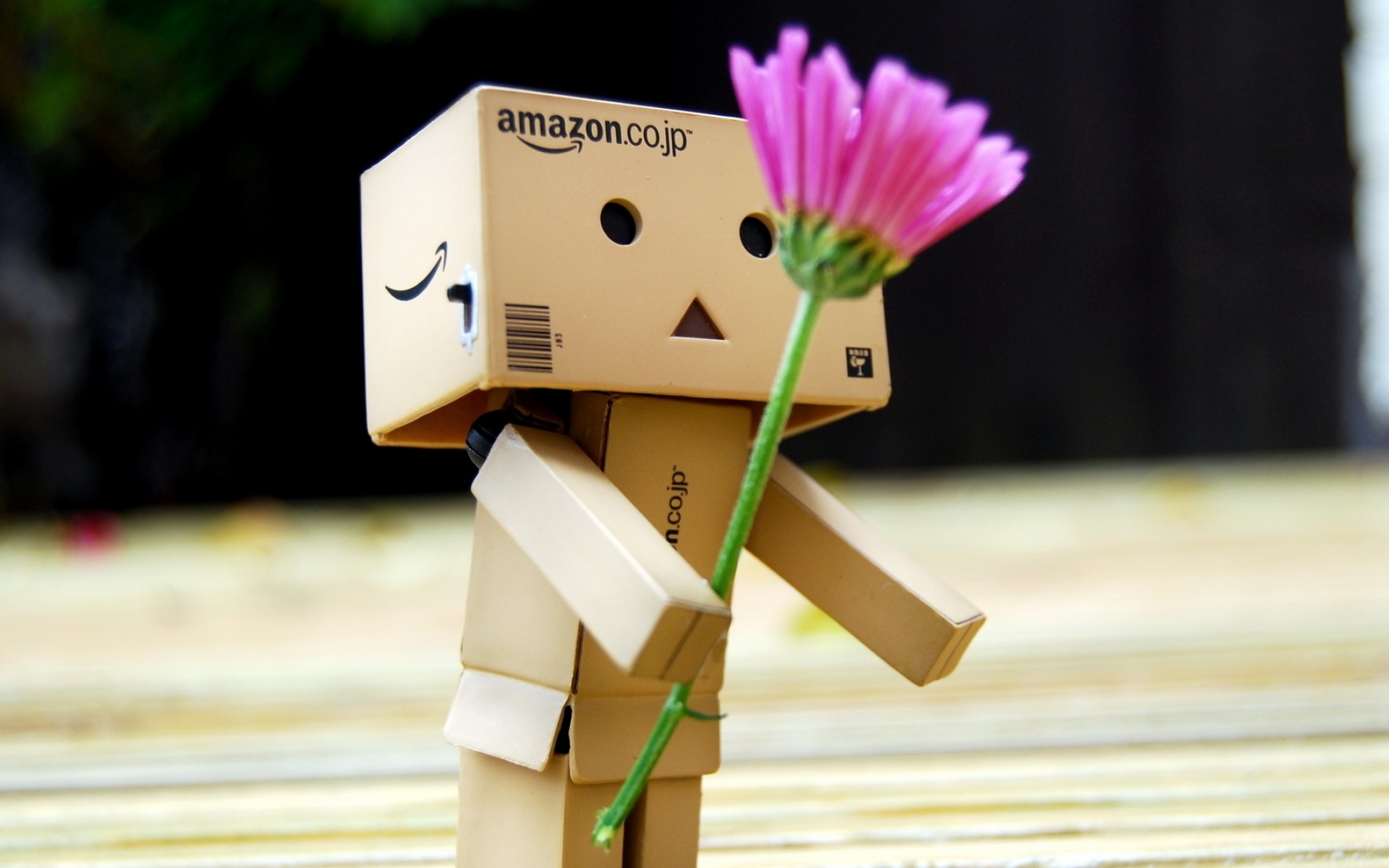 Картинки Danboard, коробки, робот, цветок, романтика, подарок фото и обои на рабочий стол