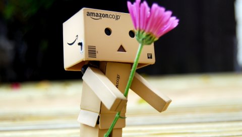 Danboard, коробки, робот, цветок, романтика, подарок